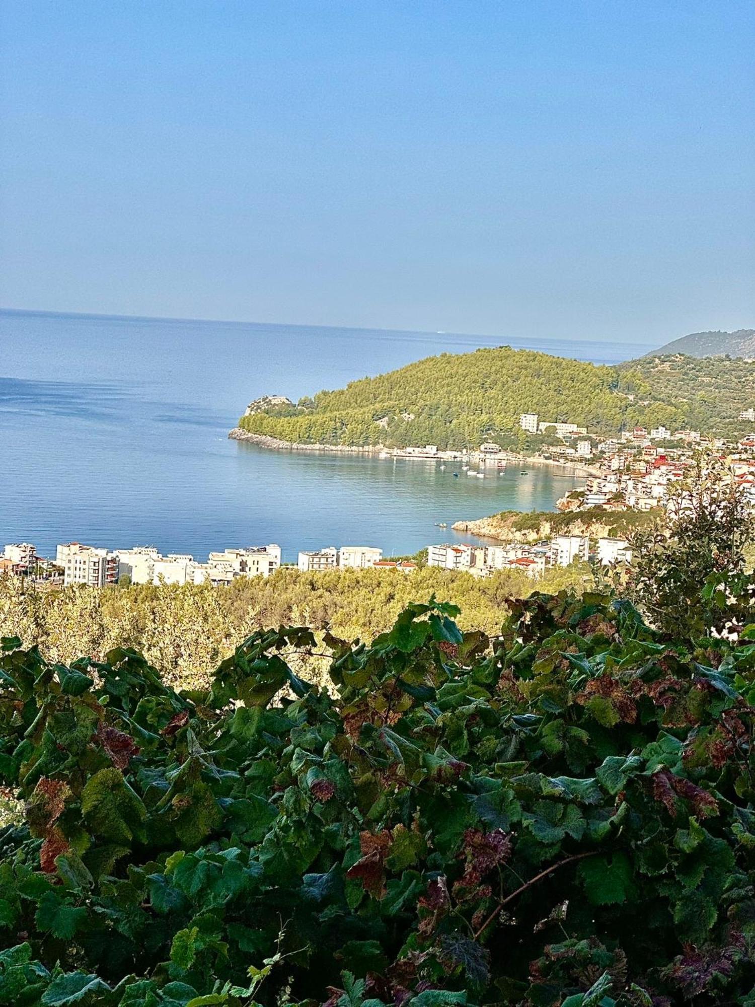 ELÉA Guesthouse himare Esterno foto
