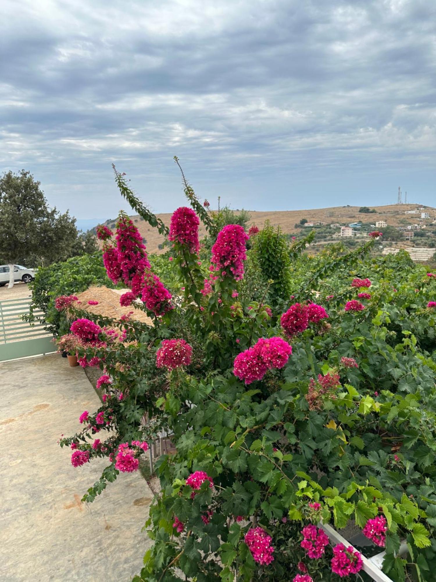 ELÉA Guesthouse himare Esterno foto